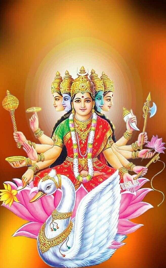 Darshan of The Divine Vigraha Of The Divine Mother Maa Gayatri, Five-Faced, Seated upon the swan and the lotus in the dawn light
